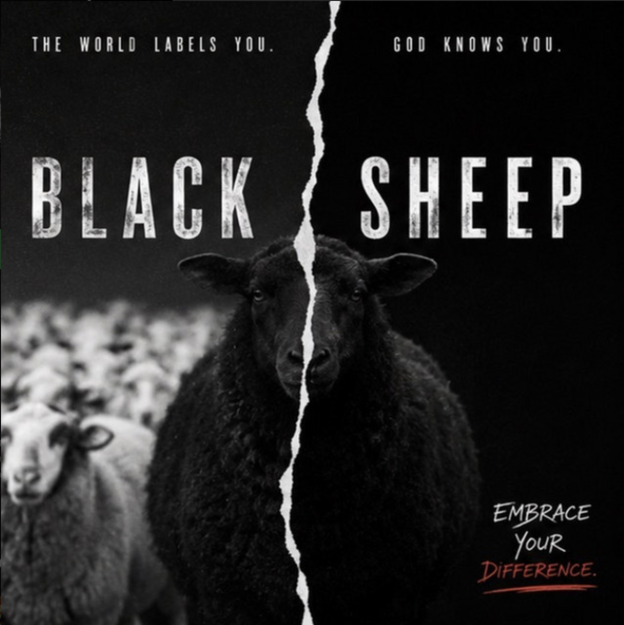 Isiah Hilt - Black Sheep 