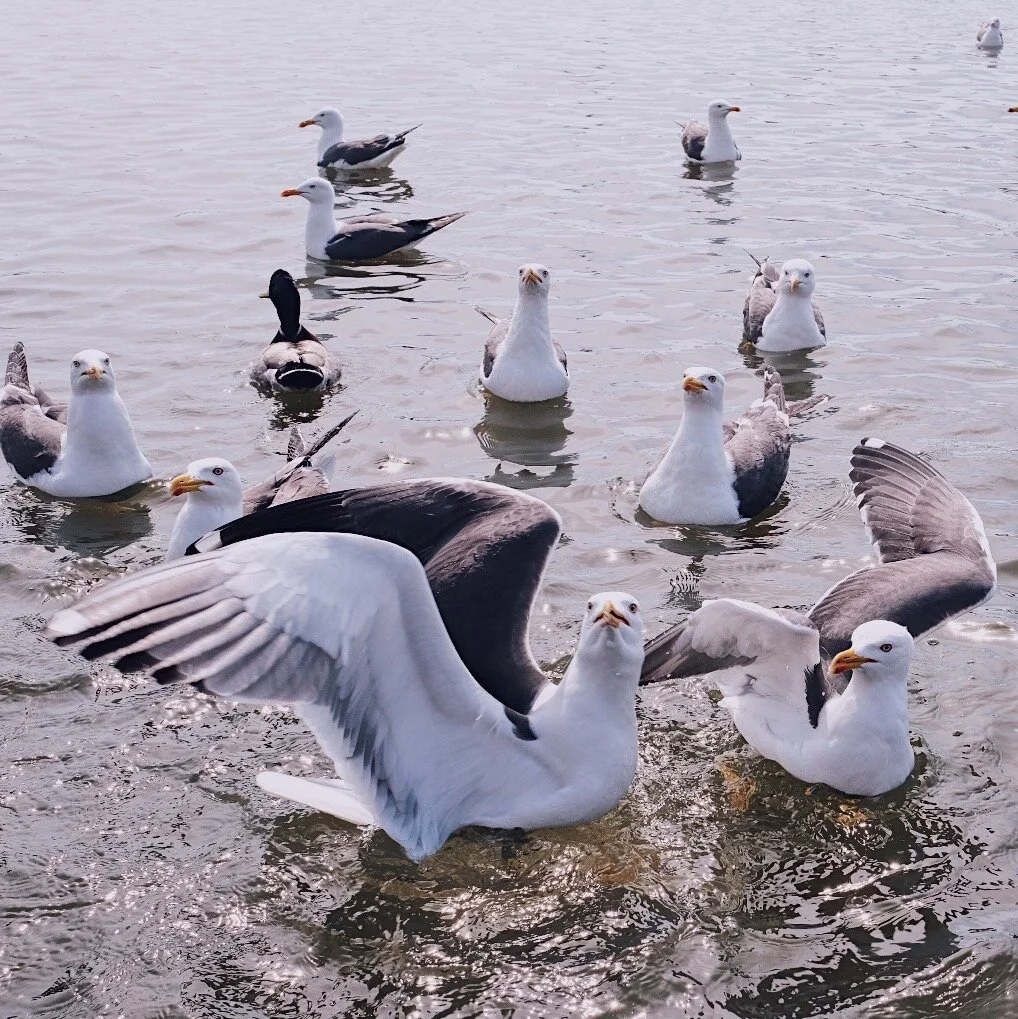 Reykjavík, Iceland