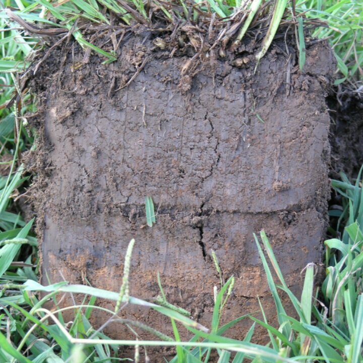 Biodynamic (BD) irrigated organic dairy farm during 12 yr drought