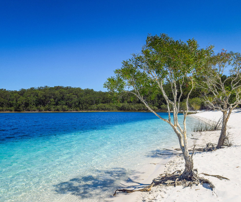 Top 8 Summer Holiday Destinations in Queensland — Kiwi Talks Travel