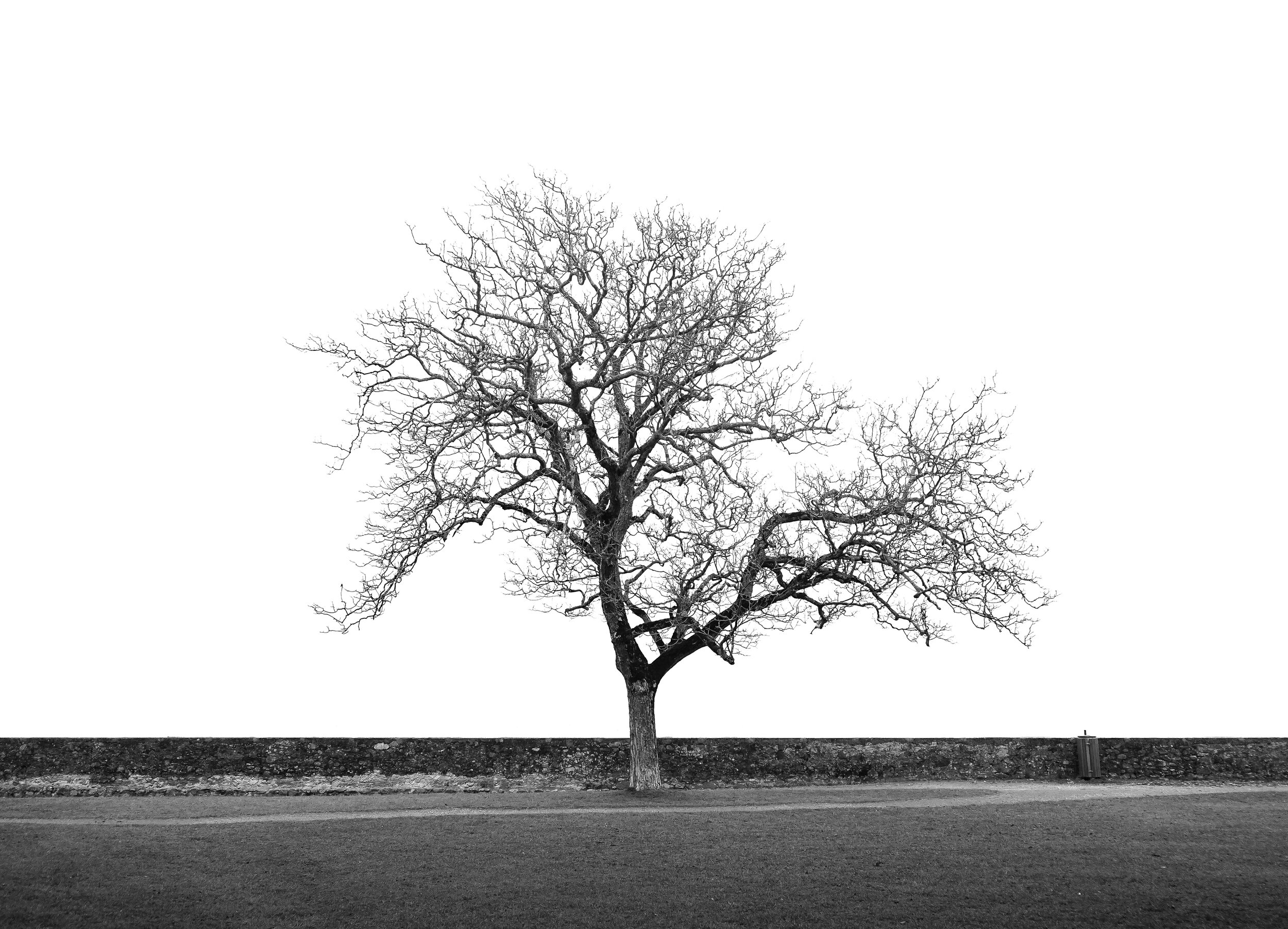 Beautiful complexity