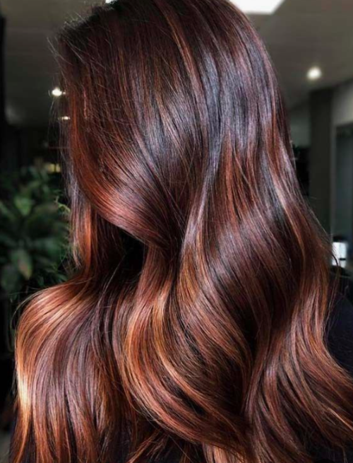 Best hair colours for dying South Asian hair — British Asian Women's  Magazine