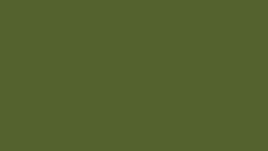 4107: Verde Musgo