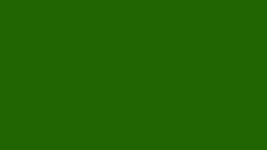 7016: Verde italia