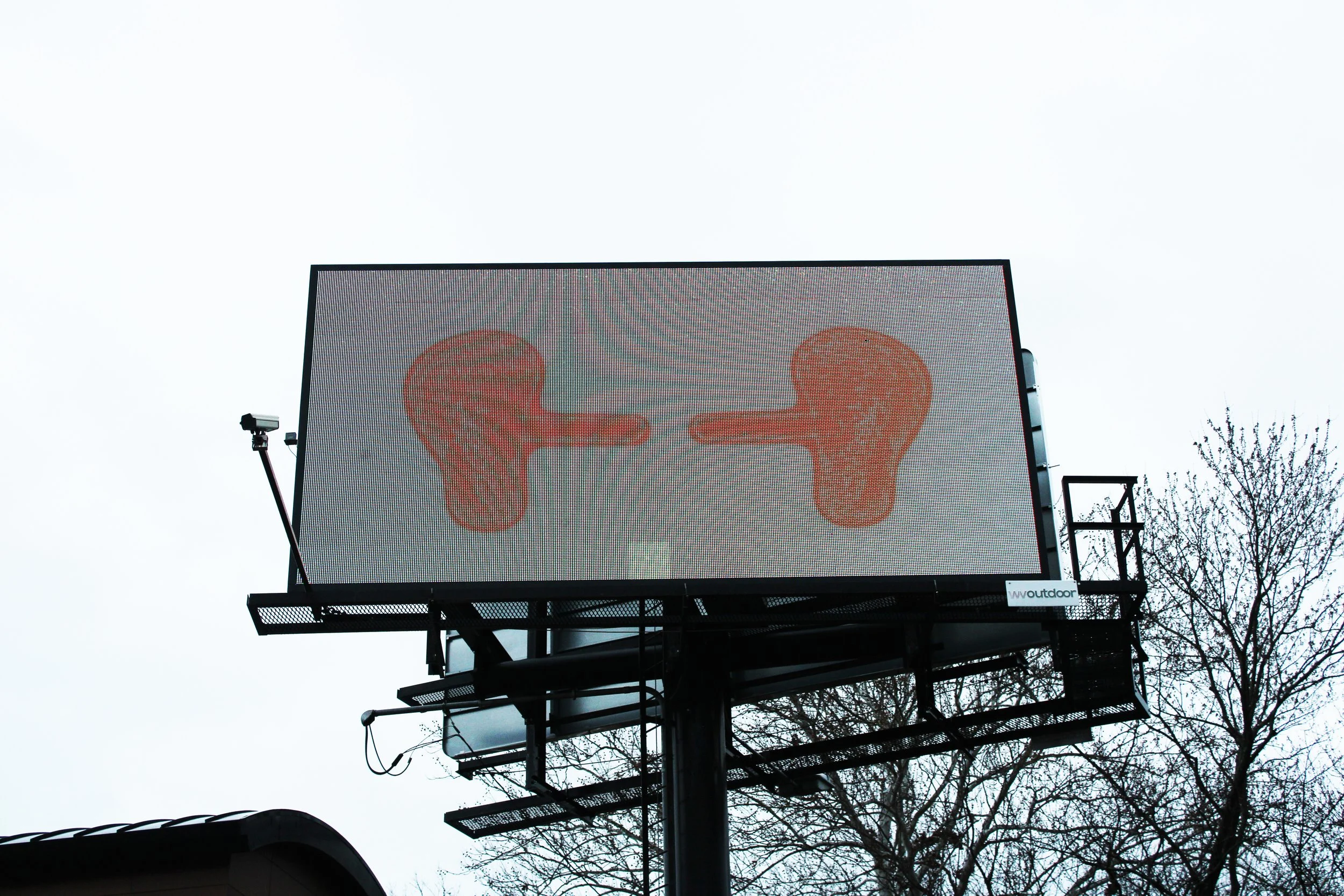 Qiaoyi Shi - Dec. 2022