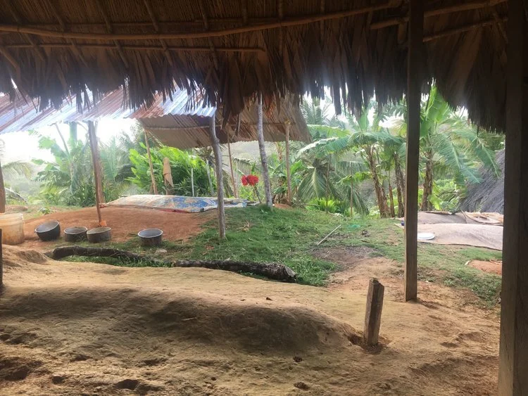 IS MOTHER EARTH IN NEED OF MORE SCIENCE OR MORE LOVE?