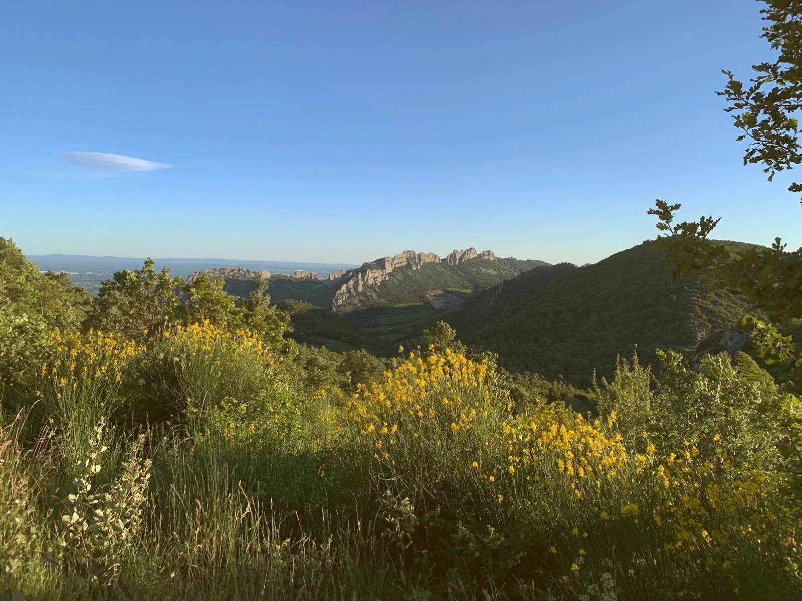 &nbsp;&nbsp; Dentelles de Montmirail viewed from the other side of the St.Amand