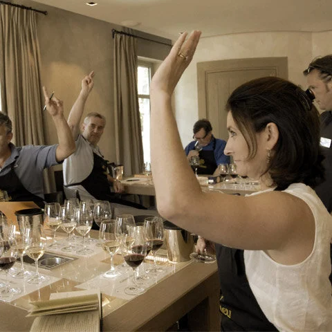 EXTREME WINE (Learn with us)