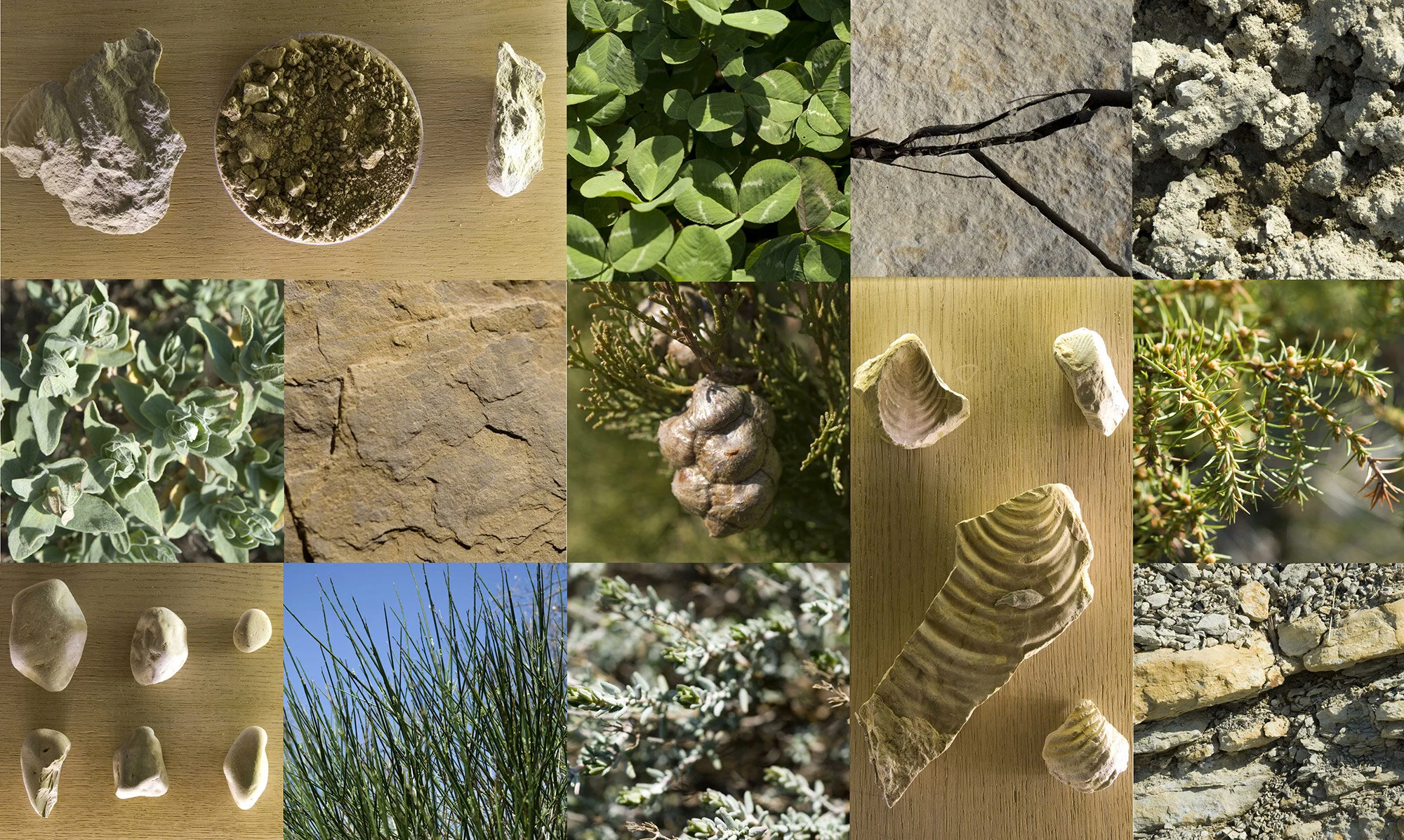 B3--The-Terroir--collage-rocks.jpg