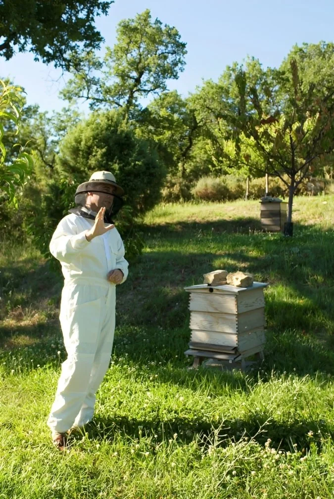 cb-xr-beehive-2.jpg