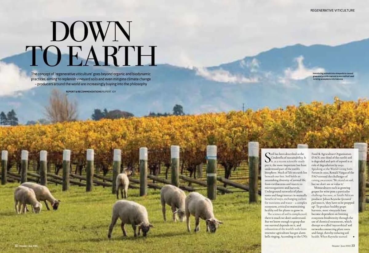 Decanter - Down To Earth