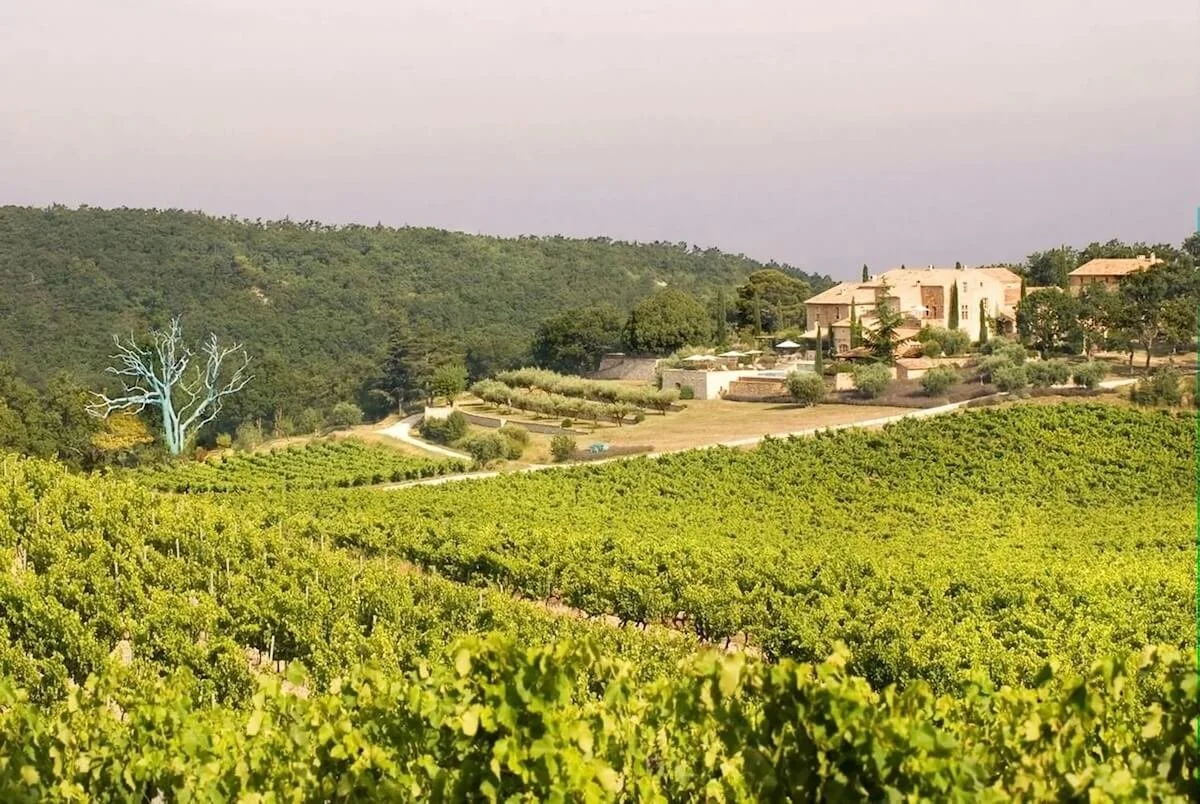 Wine Spectator - The Rhône Faces The Heat