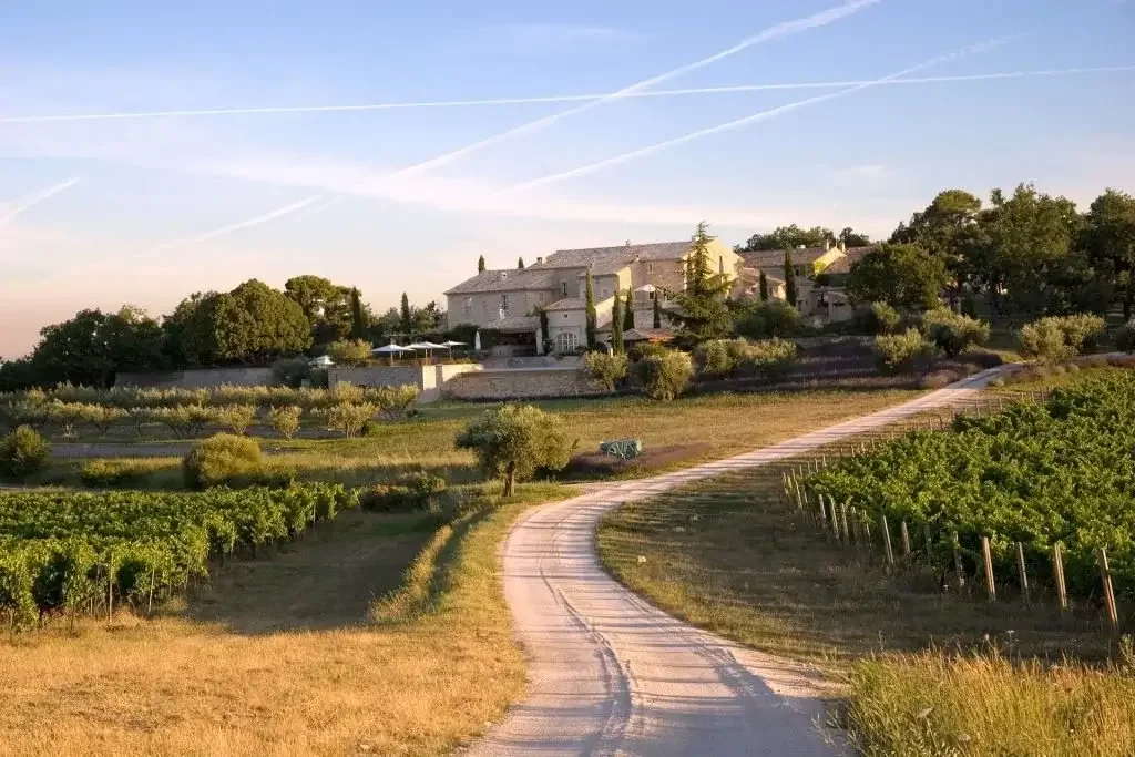 Wine Enthusiast Magazine - Portugal, New York and Beyond: 8 Of the Coolest Places To Study Wine