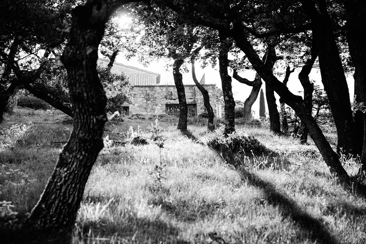 wildlife b&w
