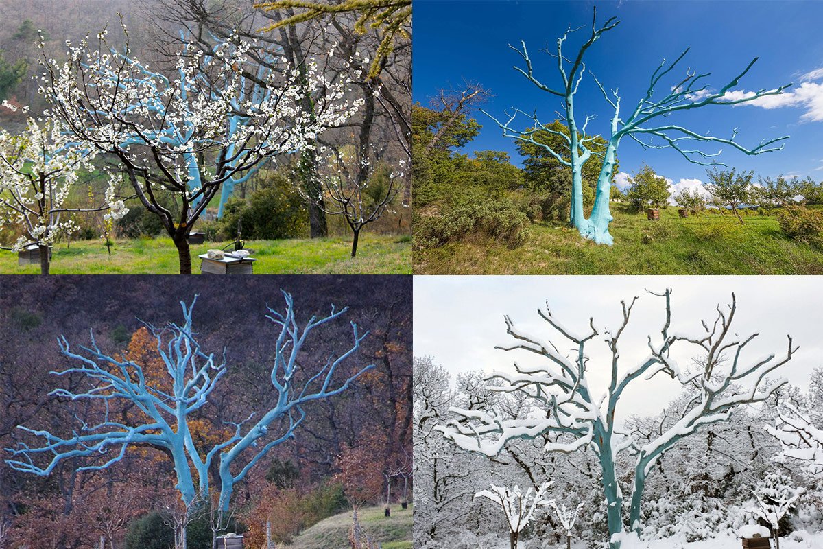 4 season blue tree
