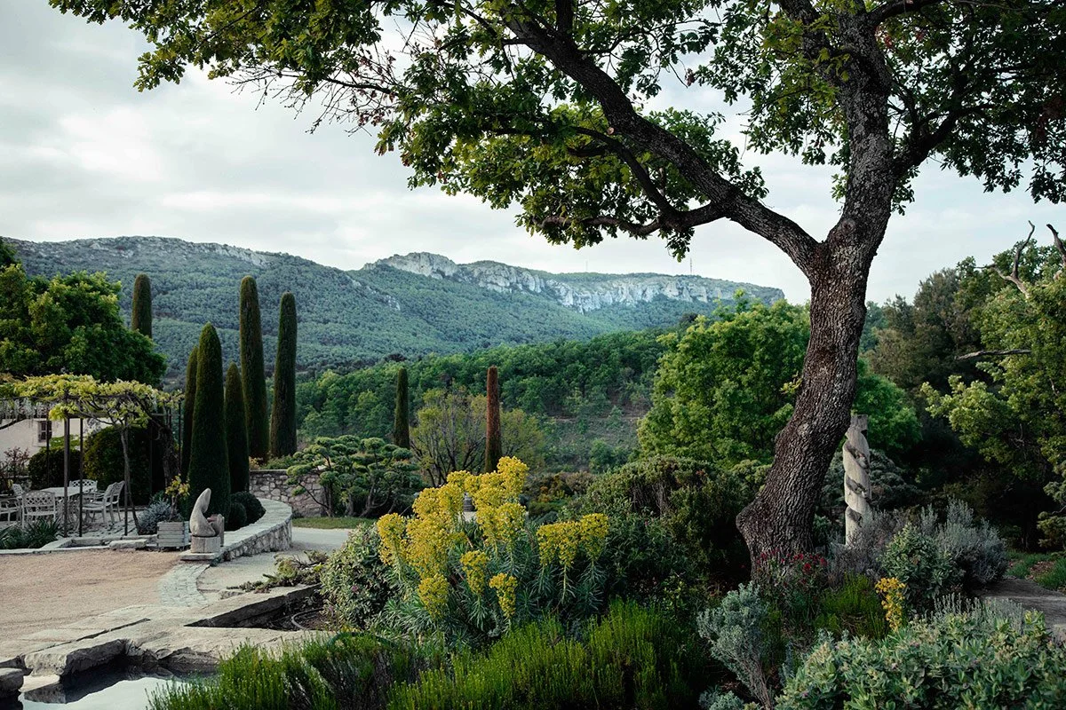 terroir landscape