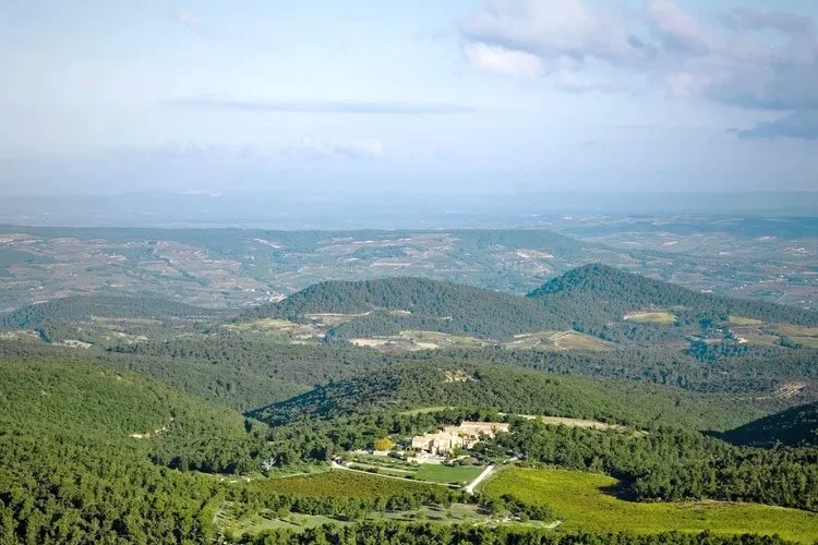 THE REGION