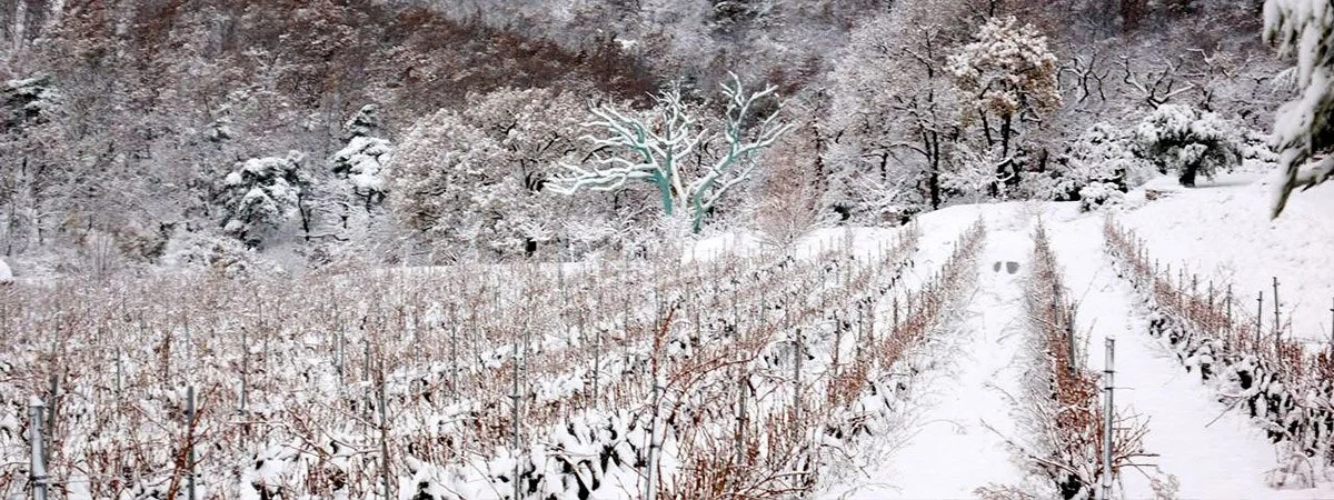 La verriere on snow