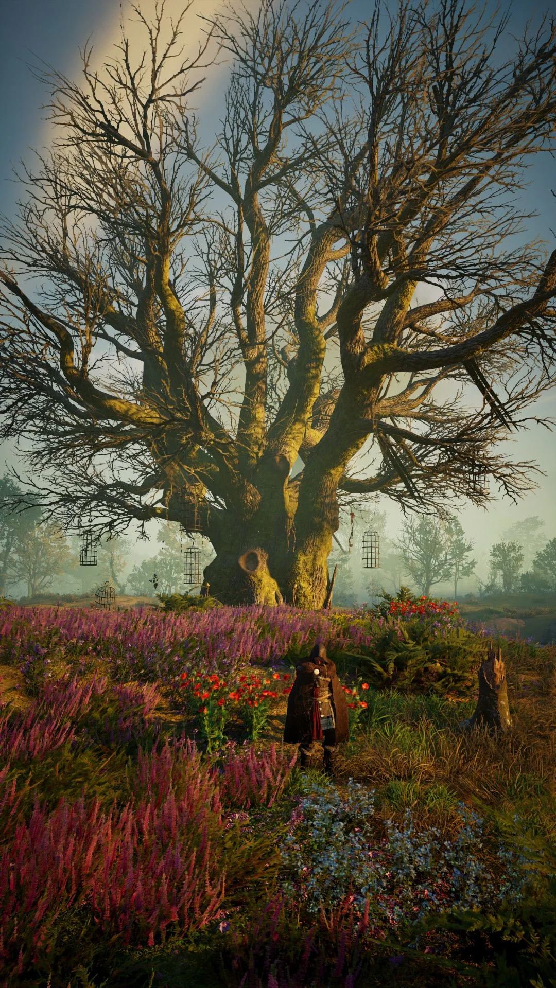 AC VALHALLA BEAUTIFUL TREE 