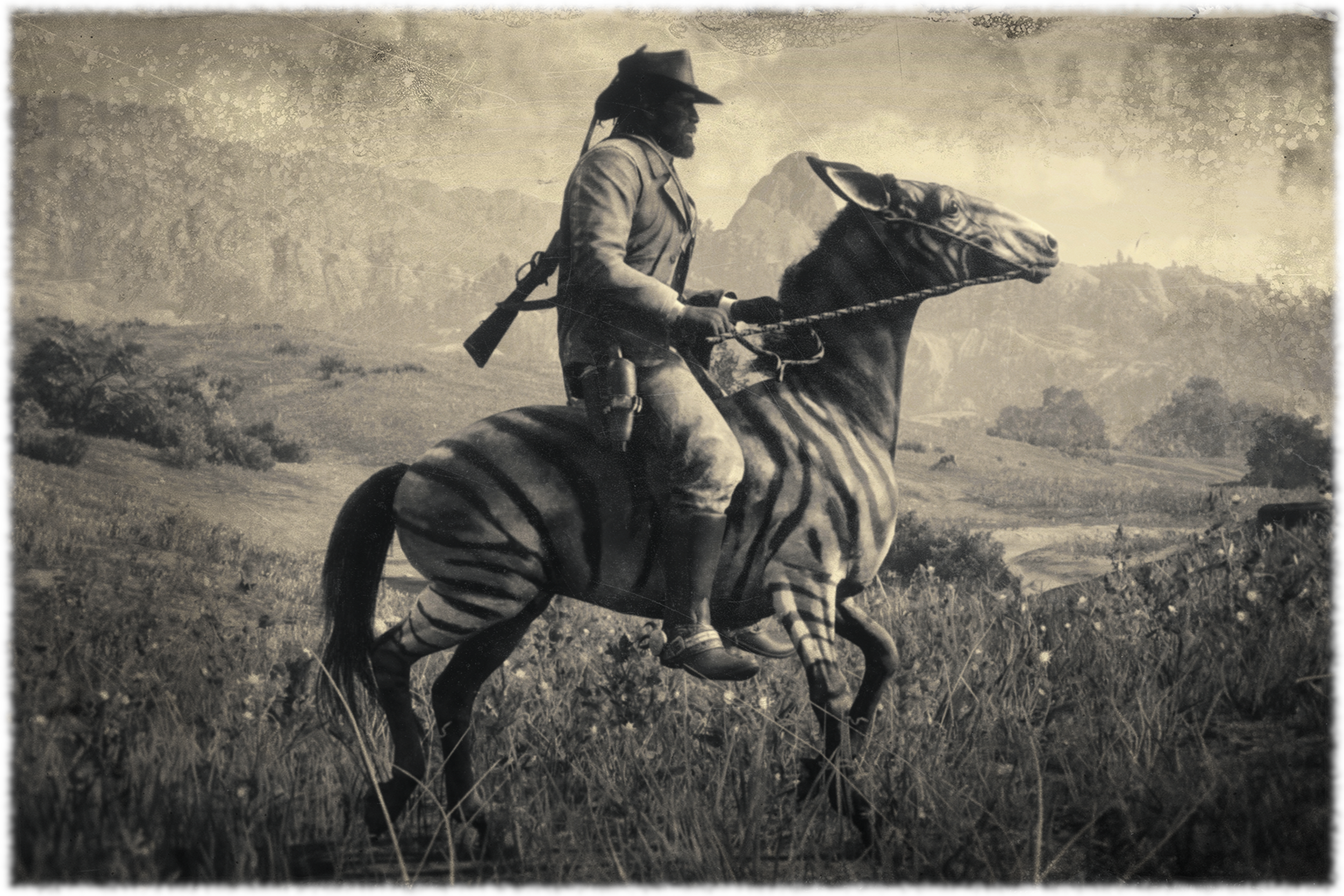 Red Dead Redemption 2 | RDR2 Zebra Mule