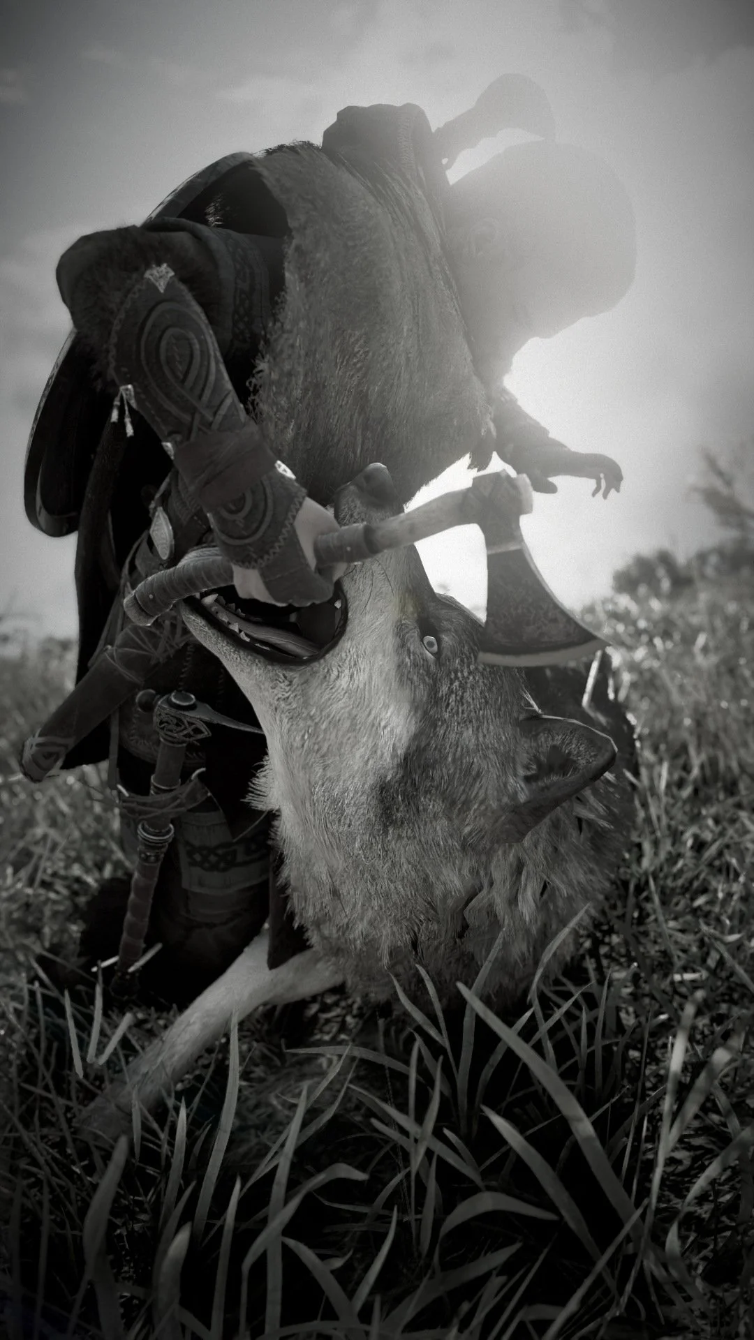 AC VALHALLA EIVOR VS WOLF