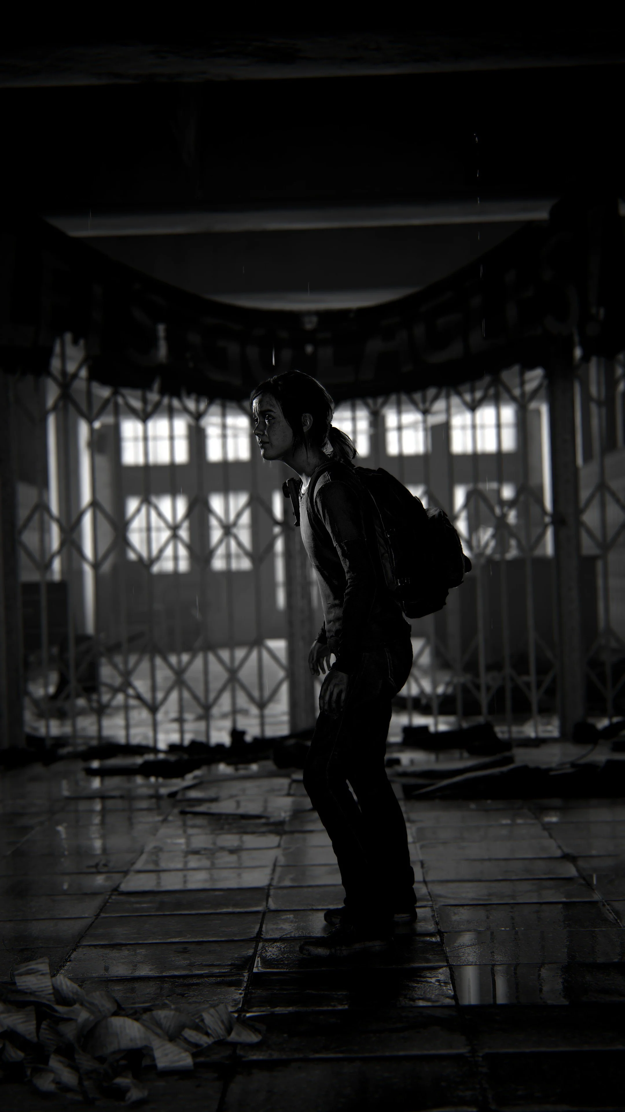 Tlou Remake Photo Mode Spotlight