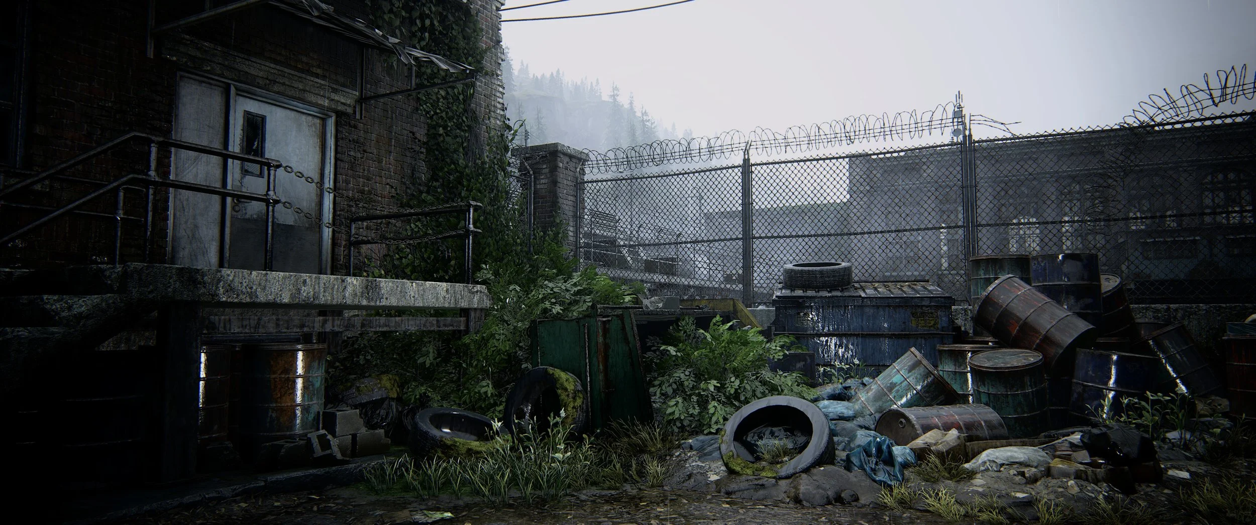 tlou scenery