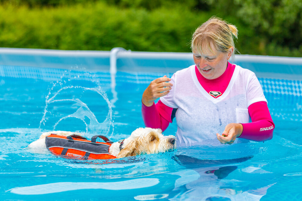 V. Essential Swimming Gear for Dogs
