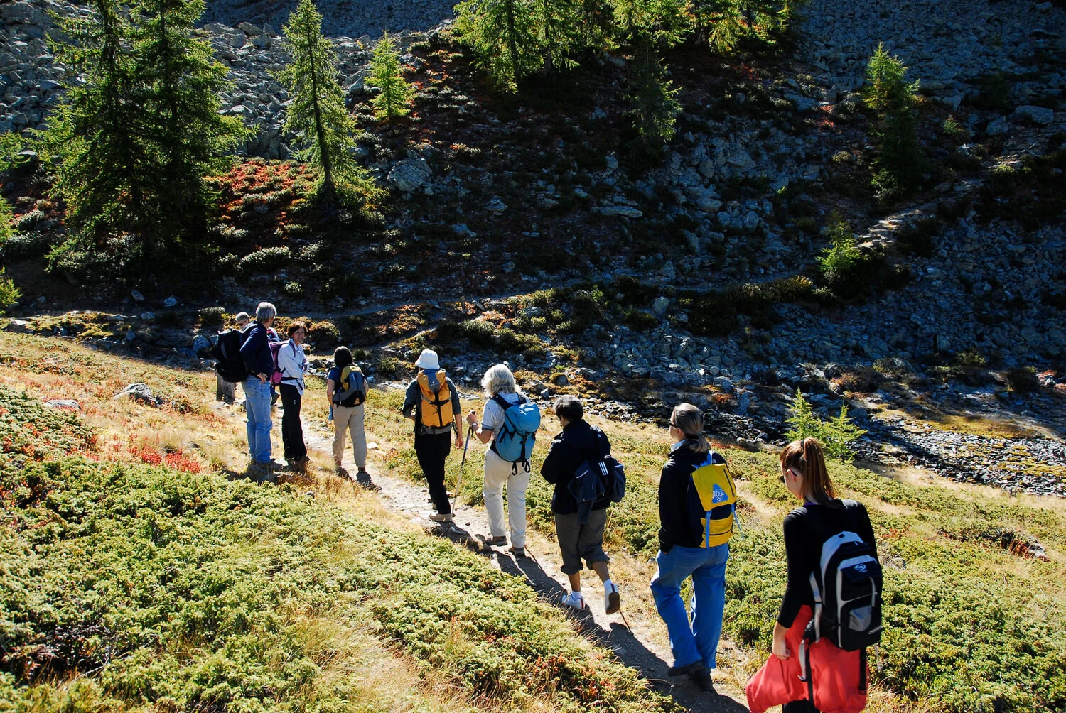 10 anni di Poetica del Territorio