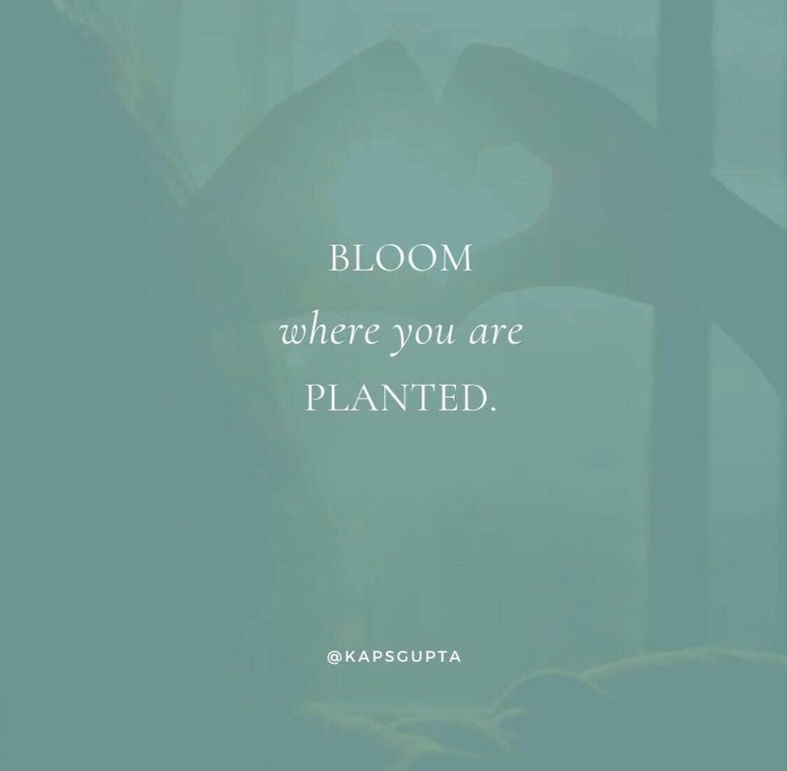 Amidst the chaos of life, amidst the trials and tribulations, there lies a simple yet profound truth: You have the power to bloom wherever life plants you. 🌱

We witness the incredible resilience of the human spirit every day. No matter the circumst