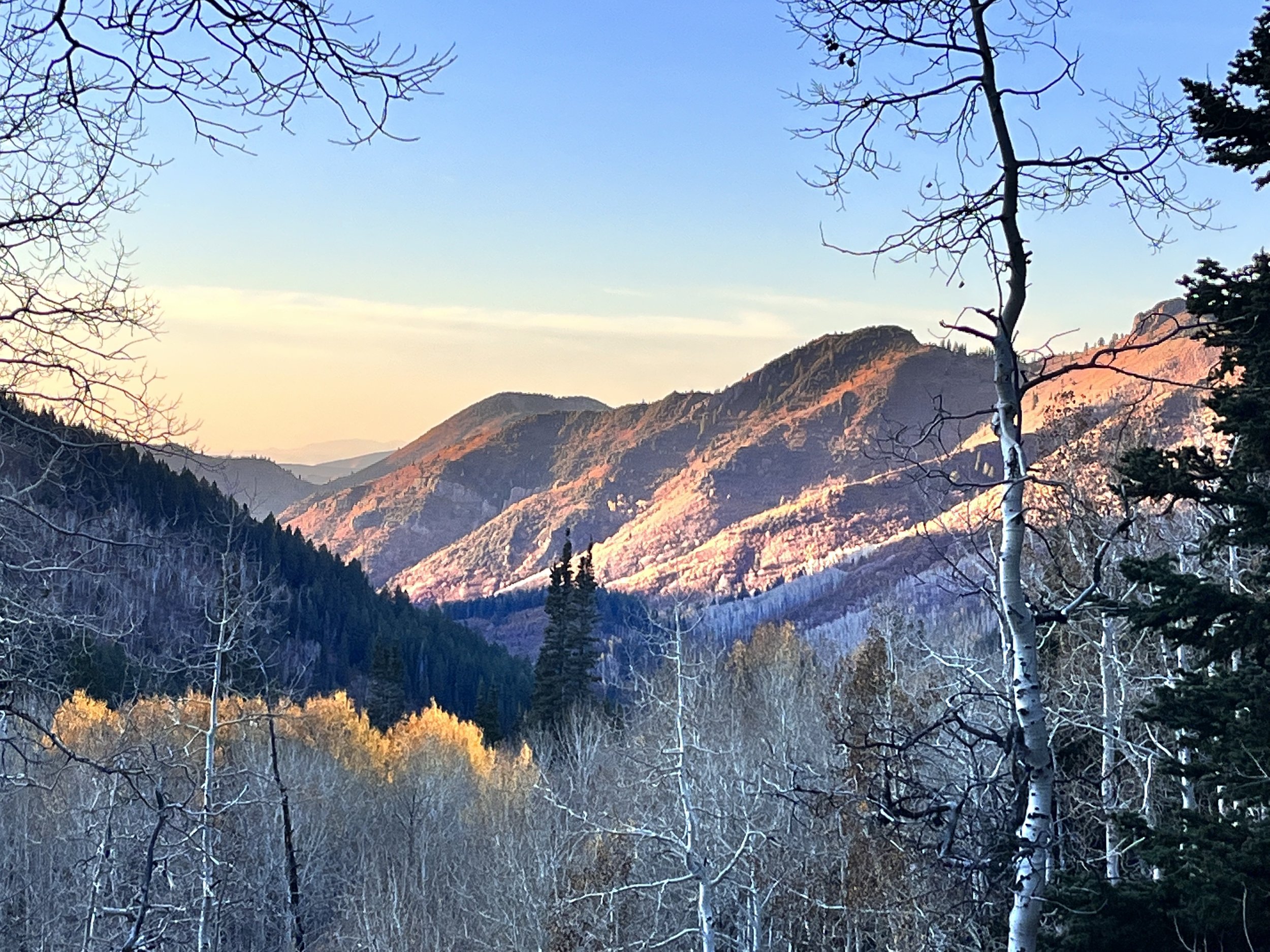 I started something.