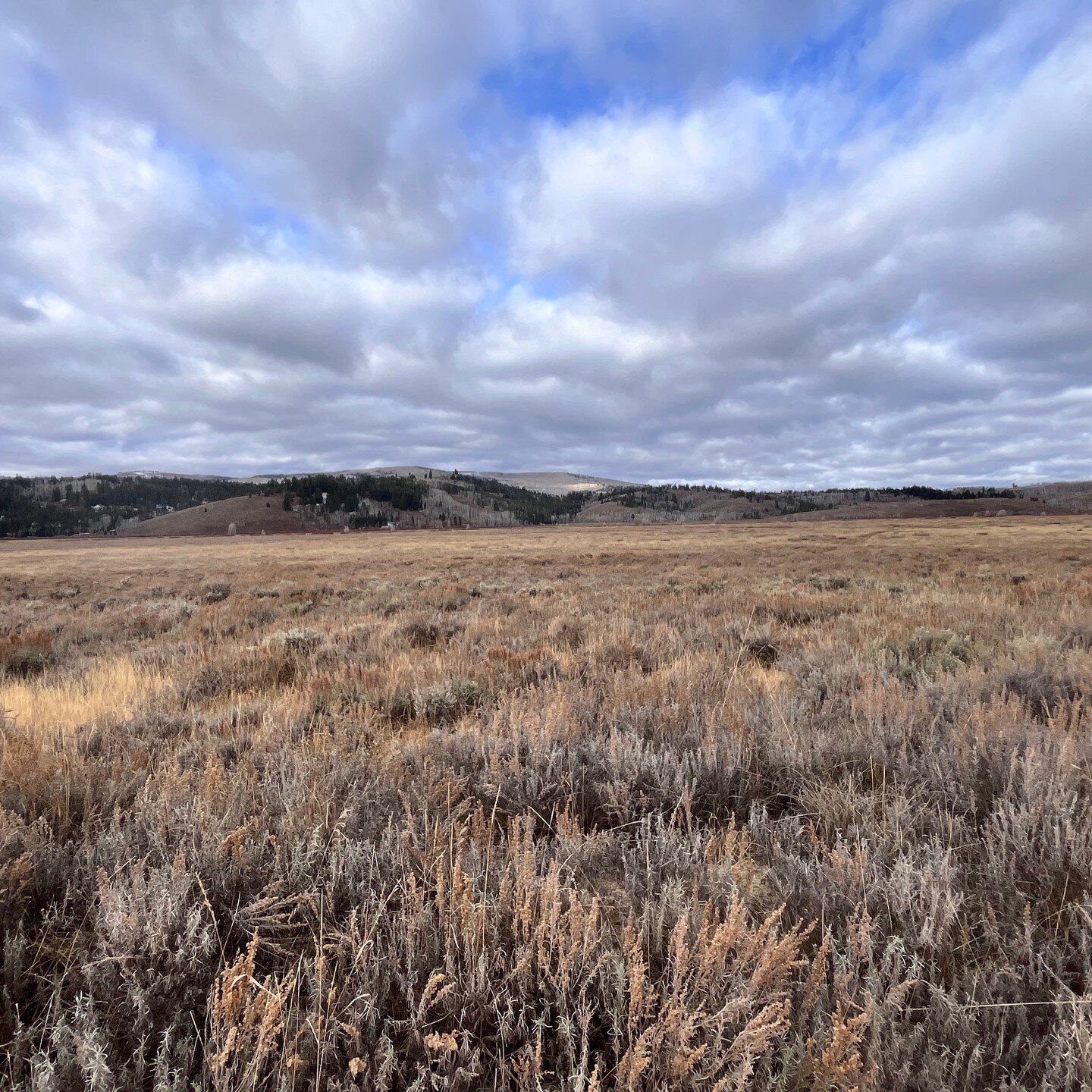 Awesome site visit with @ut_shpo and Sema Hadithi Foundation to see a historic Buffalo Soldiers site and better understand its significance. What a beautiful landscape that holds new meaning to me now. And amazing plans for the future to bring the Bu