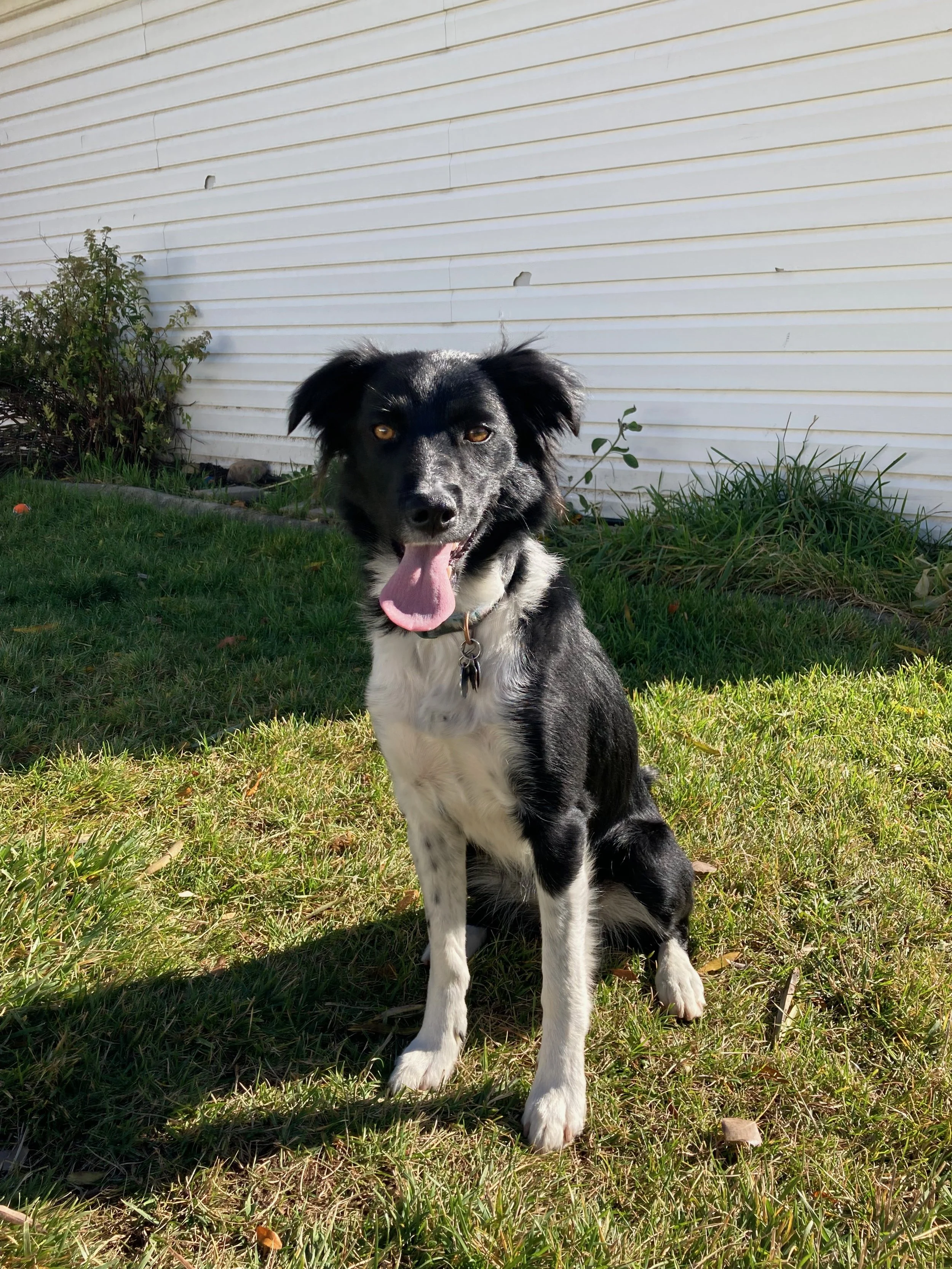 KIRK HUFFAKER PRESERVATION STRATEGIES