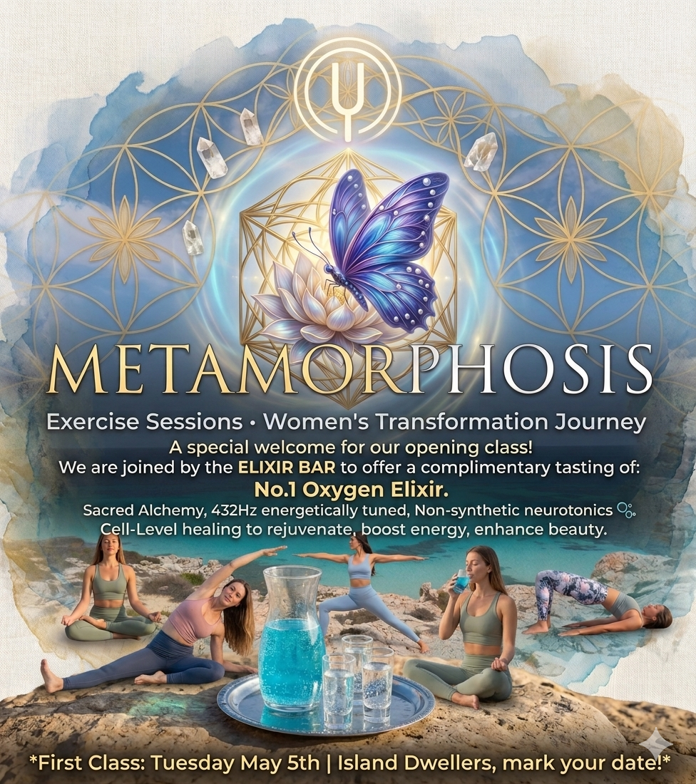 🦋 MetaMorphosis  Sessions 