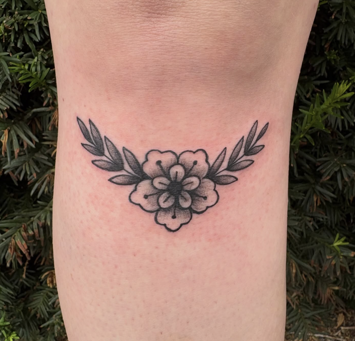 Screenshot 2026-03-05 at 11.40.07 AM.png