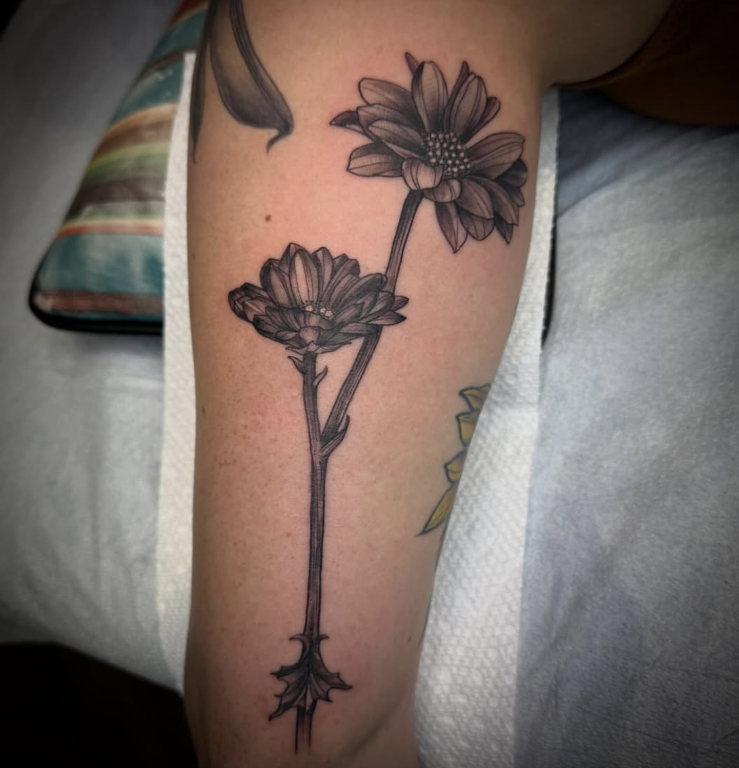 Screenshot 2026-03-05 at 11.18.36 AM.png