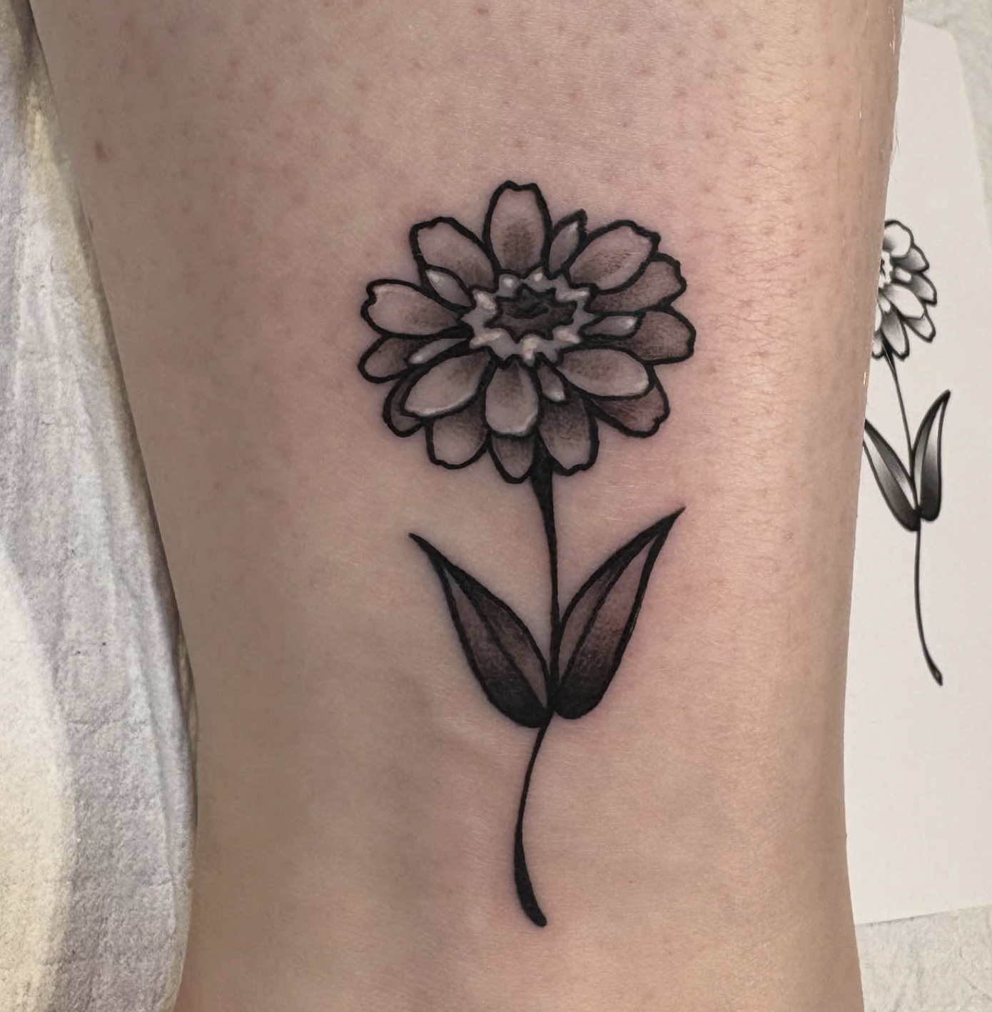 Screenshot 2026-03-05 at 11.40.46 AM.png