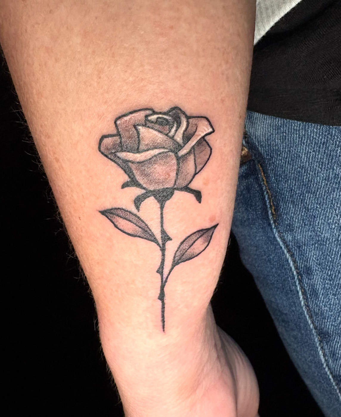 Screenshot 2026-03-05 at 11.46.41 AM.png