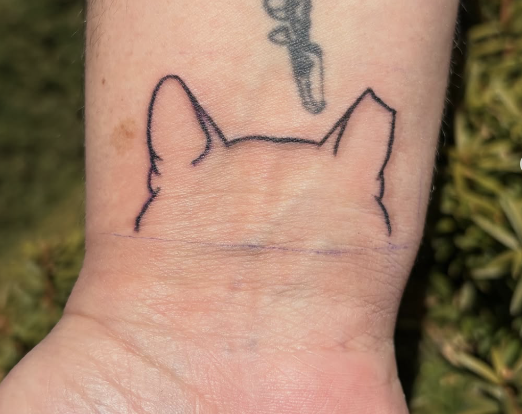 Screenshot 2026-03-05 at 11.40.20 AM.png