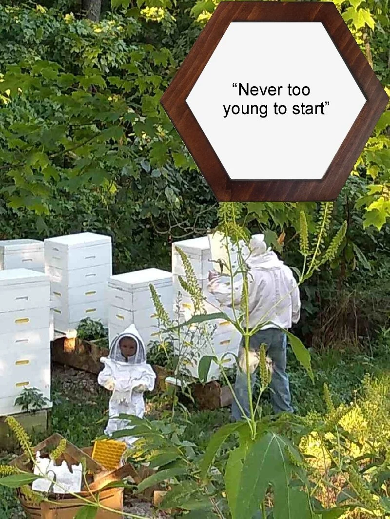never too young hex.jpg