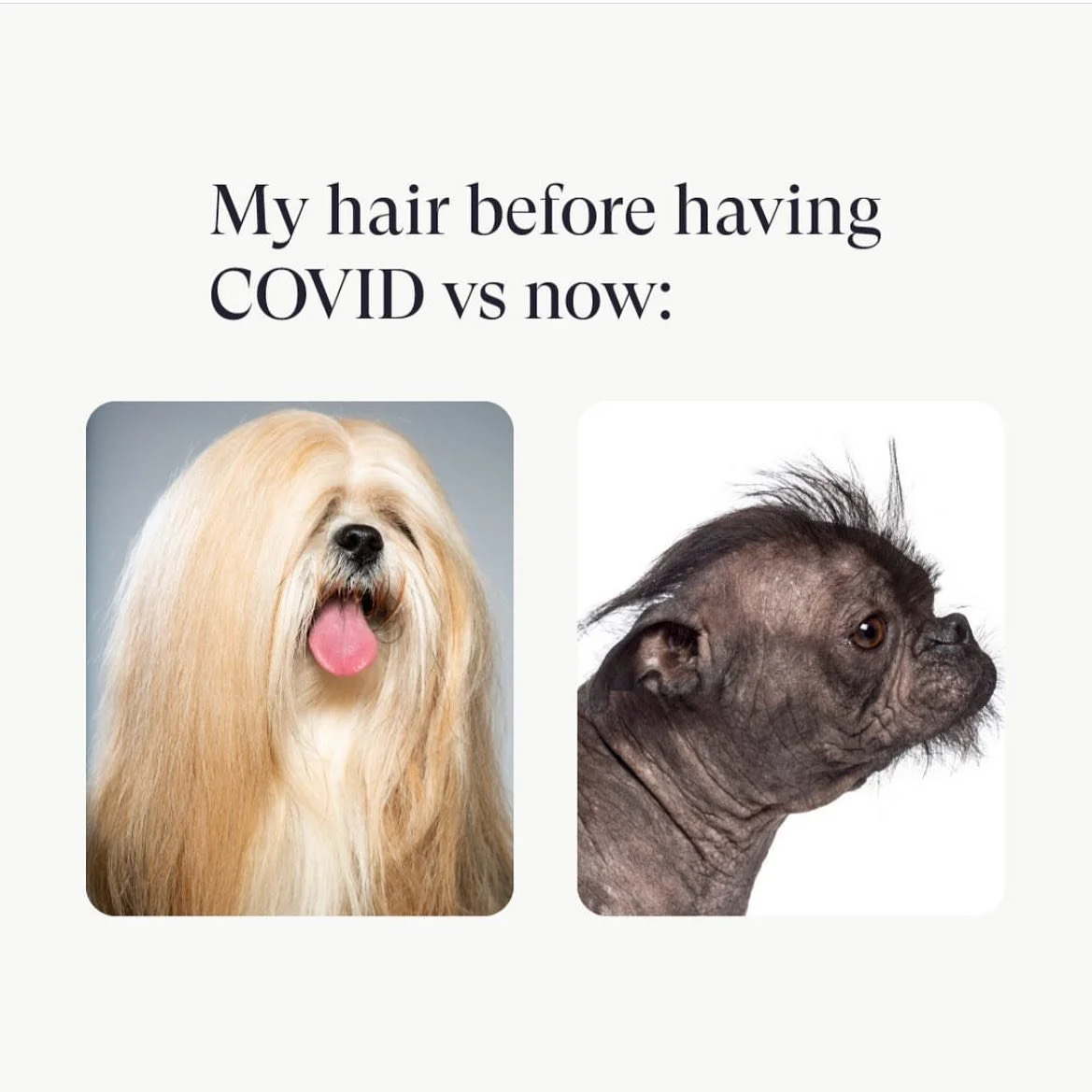 Who can relate? 😭
But for real&hellip; so many of you have come in to see me, post Covid, and are experiencing Covid hair loss. Yes, it&rsquo;s a thing. Nutrafol is a great product that I highly suggest getting into your routine. They have supplemen