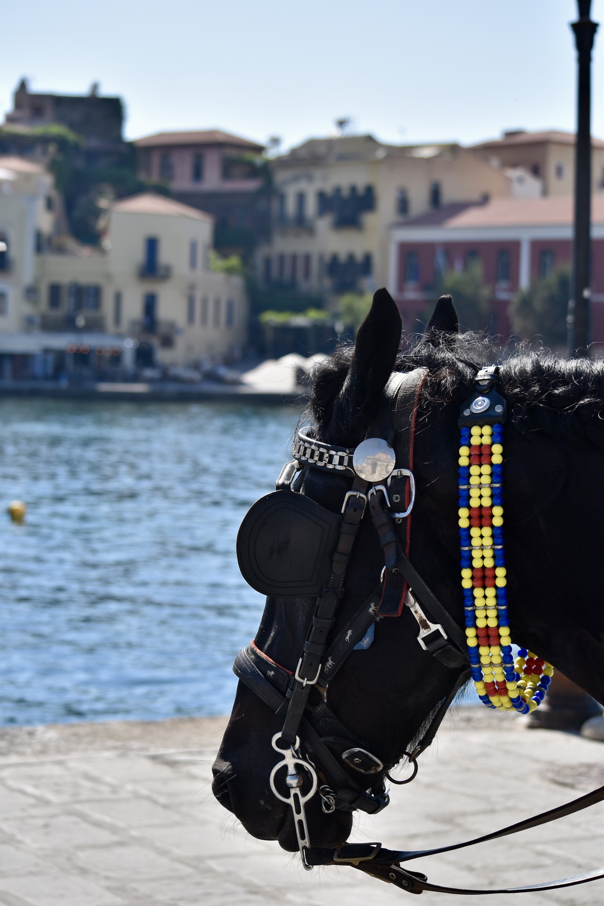 CHANIA HORSE - FOR DECOR, NOT FOR SALE