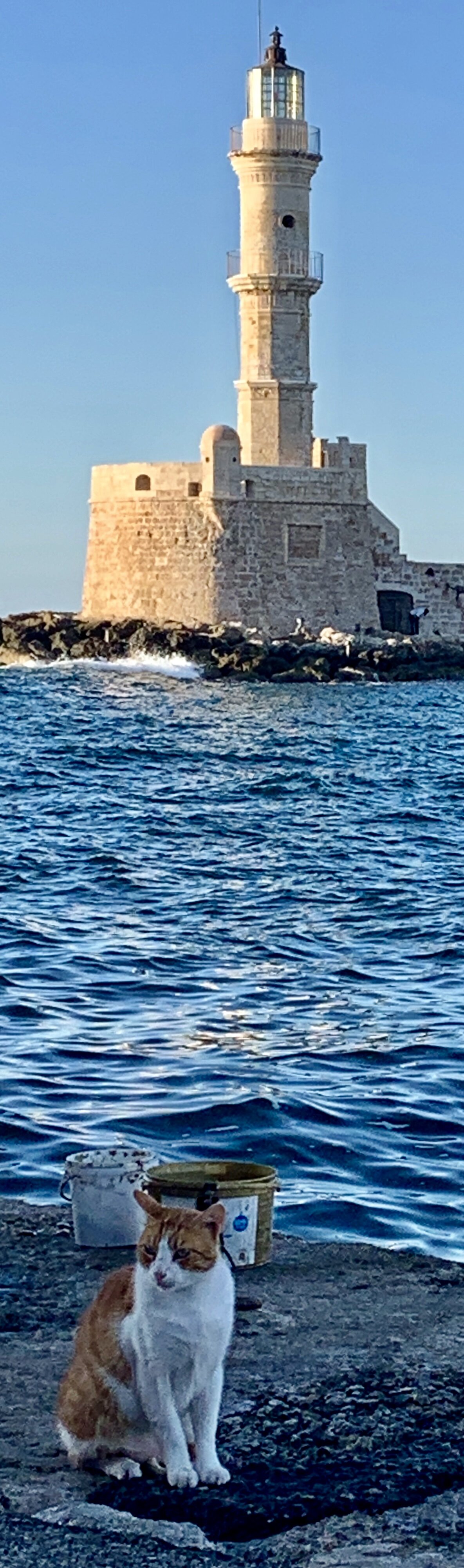 PIC# Y-115 LIGHTHOUSE C@ — 16X20”