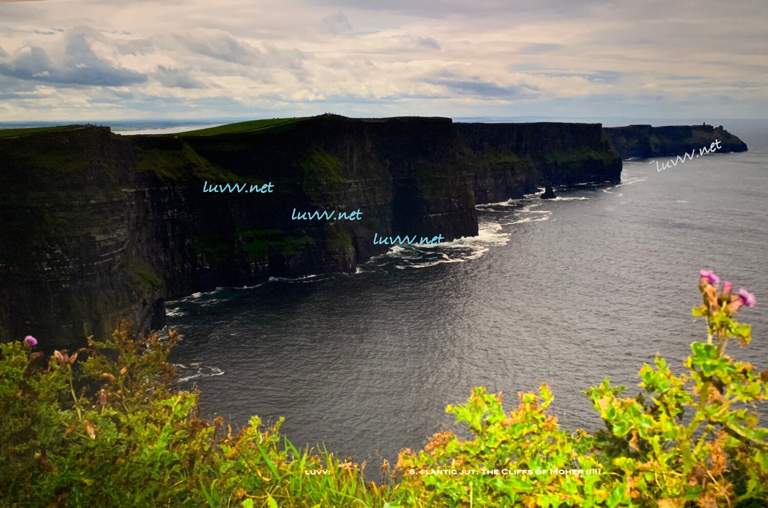 PIC# S-007 @LANTIC JUT (CLIFFS OF MOHER,left) — 20x30”