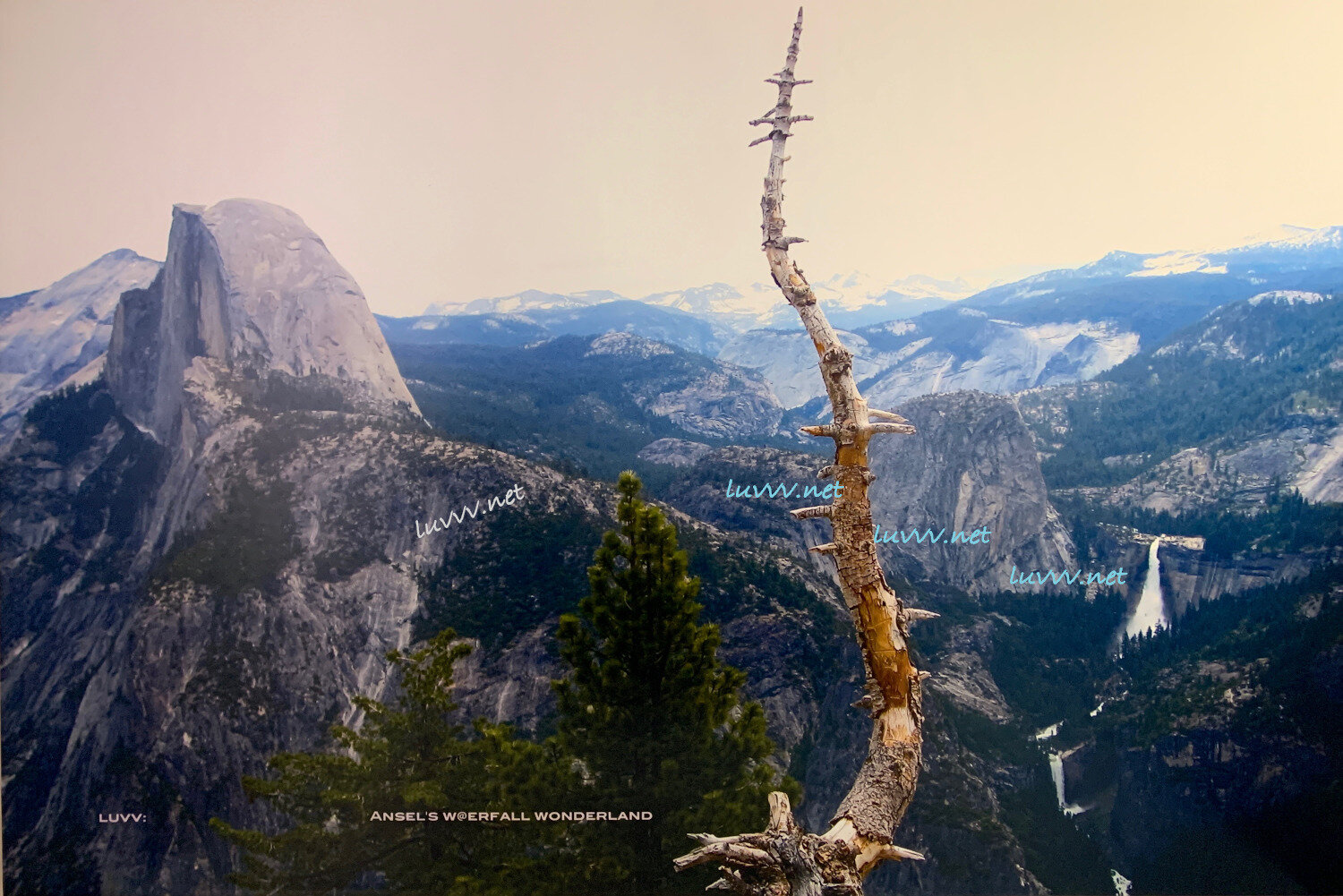 PIC#S-017 ANSEL’S W@ERFALL WONDERLAND — 20X30”(tree)