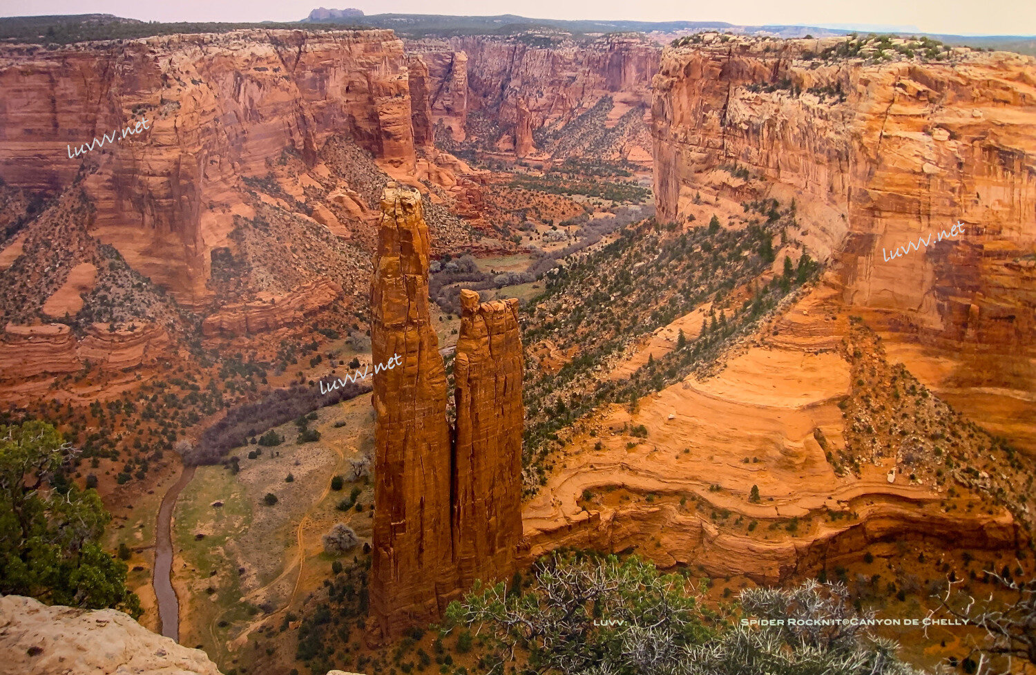 PIC# S-047 SPIDER ROCKNIT@CANYON DE CHELLY — 20X30”