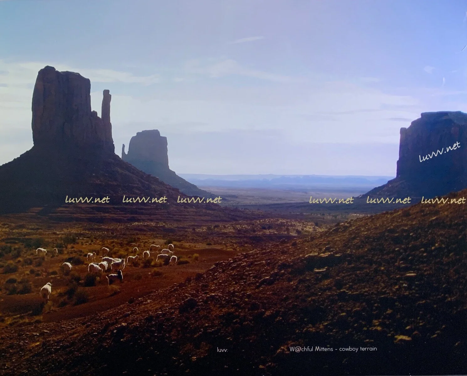 PIC# B-037 W@CHFUL MITTENS COWBOY TERRAIN (CATTLE) -- 16X20"
