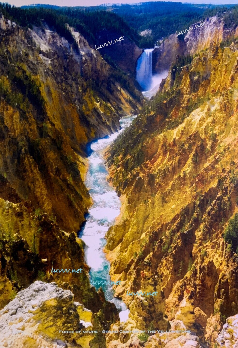 PIC# B-043/ FORCE OF N@URE, GRAND CANYON OF YELLOWSTONE — 20X30”