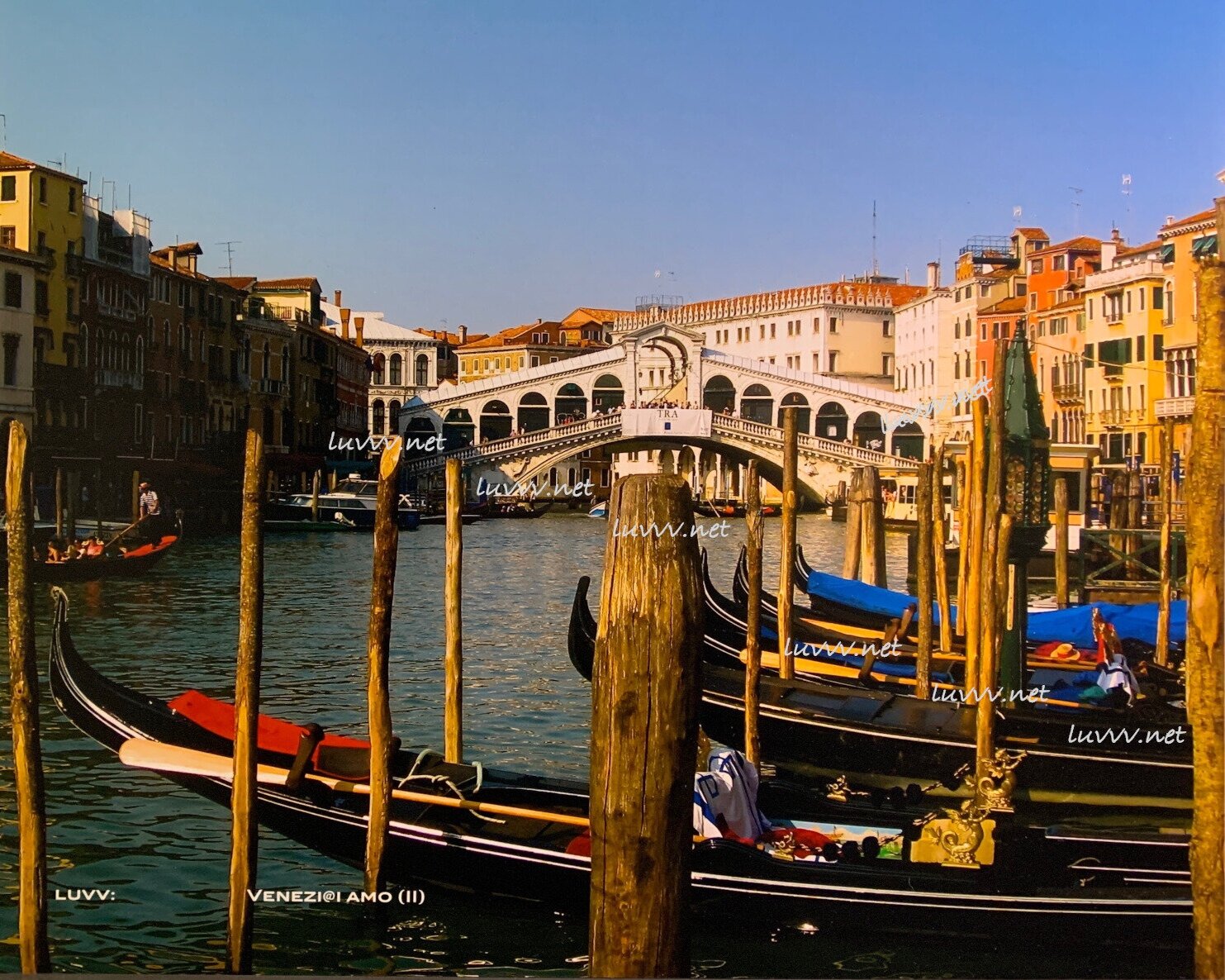 PIC# B-033 VENEZI@I AMO — 16X20” (Rialto)