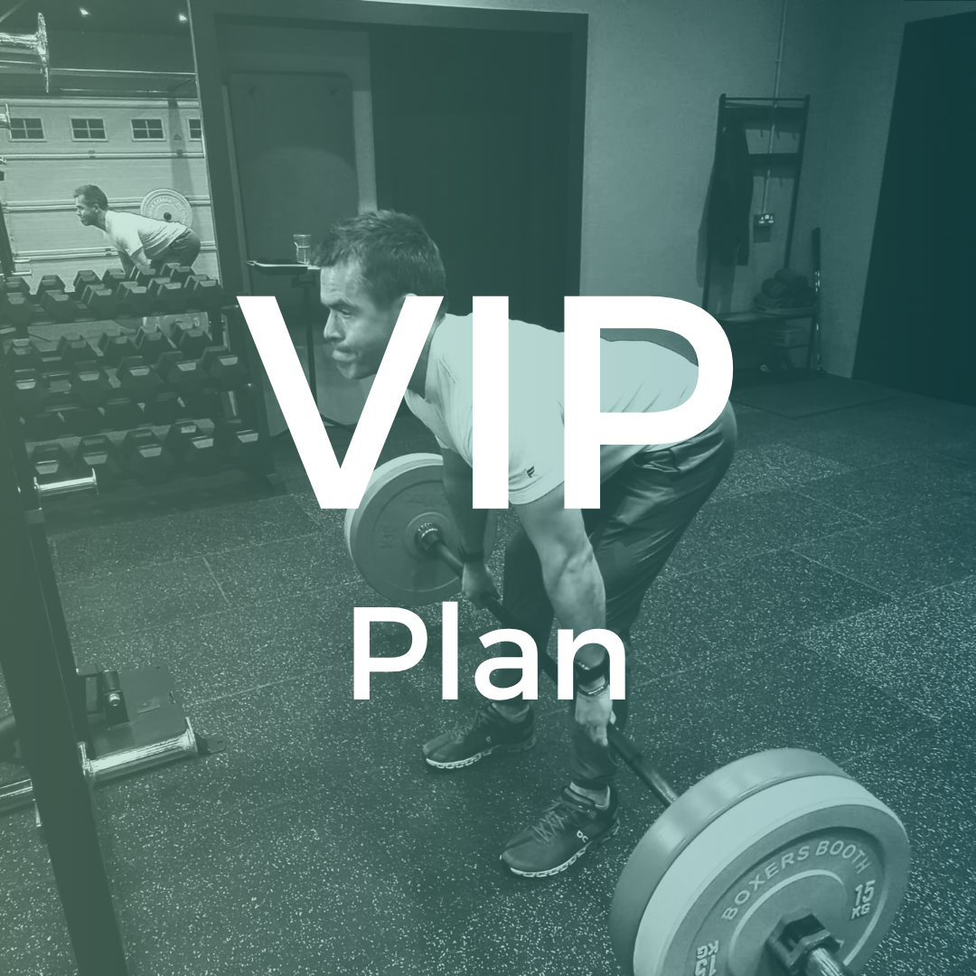 VIP Plan